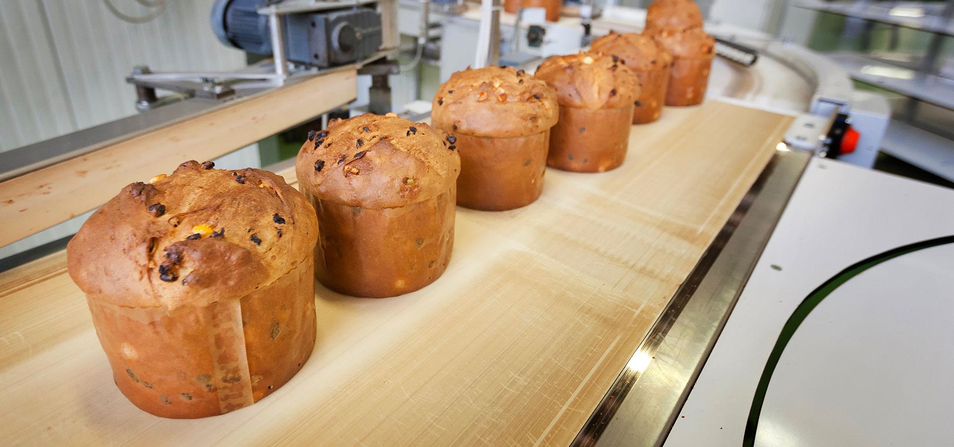 Cosa c'è nel pandoro: Maina e Bauli confronto vegetariano - La bottega dei  Piumini - The Cat Artist